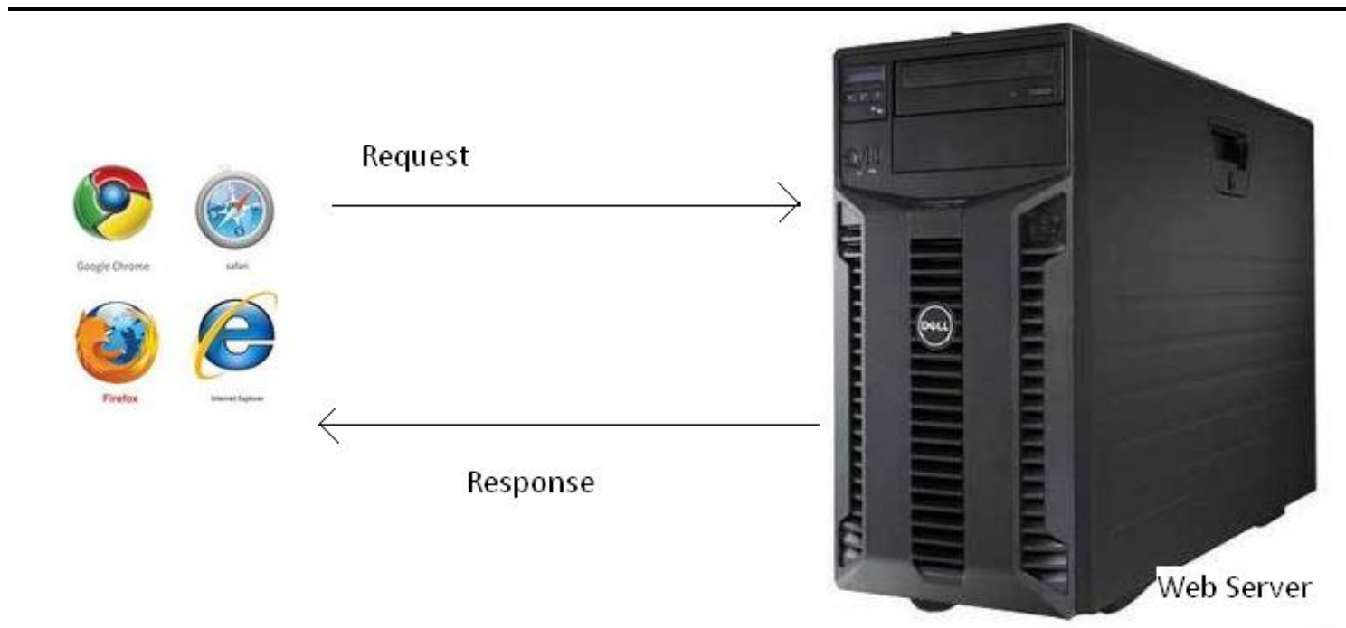 image-20240806114632412
